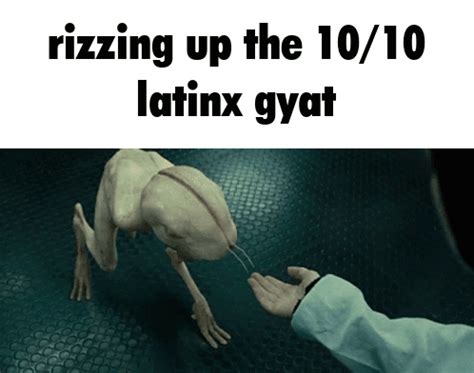 gyatt porm